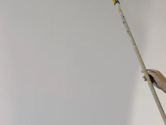 Hvit maling rulles på en vegg i en lys leilighet